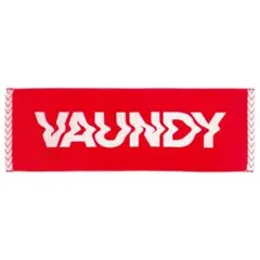 2026年最新】vaundyタオルの人気アイテム - メルカリ