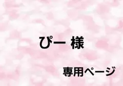 ぴー 様 専用ページ