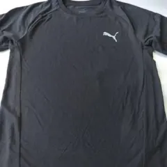160cm PUMA 半袖Tシャツ 2枚セット　　160-4