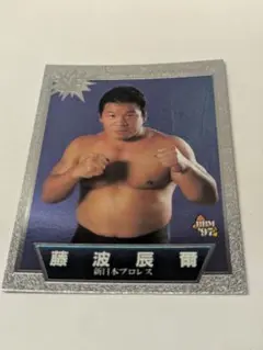 BBM 藤波辰巳 トレーディングカード 1997年 SF- 3