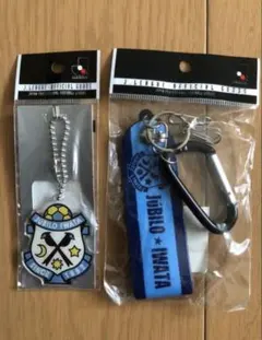 【ジュビロ磐田】キーホルダー 2点セット