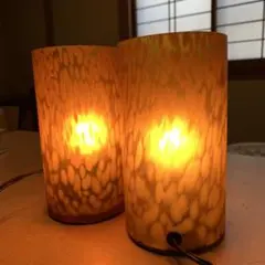 Item thumbnail for item 5bb4a35e-c456-4b0b-8d2a-305084f13ea2