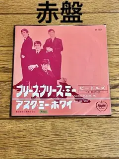 2026年最新】赤盤 アップルの人気アイテム - メルカリ