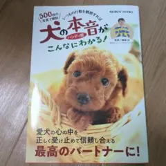 YOKOALA様 リクエスト 2点 まとめ商品