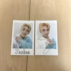 caratland ポラロイド風 ジョシュアセット