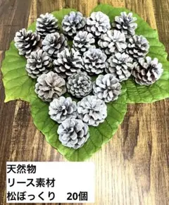 値下げ 松ぼっくり20個 処理済 ハンドメイド リース素材 天然 自然 ホワイト