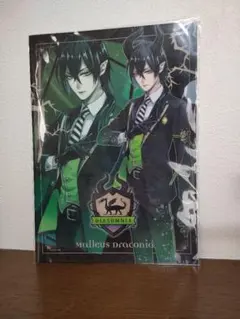 Twisted Wonderland マレウス クリアファイル