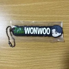 【送料込み】SEVENTEEN petiTEEN 一番くじ ラバーマスコット