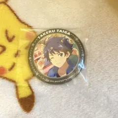 SideM 大河タケル 缶バッジ 30点 アイドルマスター SideM ビッグ缶バッジ WORLD TRE＠SURE 大河タケル