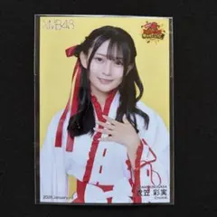 Item thumbnail for item 7458b0bf-8ae2-4e2f-9581-ce1cfe6306ea