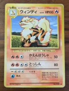 2026年最新】ウインディ webの人気アイテム - メルカリ