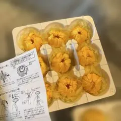 (미사용) 프리저브드 플라워 국화 “12환”