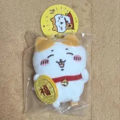 2025年最新】ハチワレ 招福の人気アイテム - メルカリ