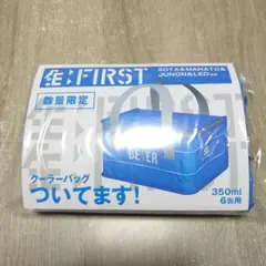 新品★サントリー生ビール BE:FIRST コラボ 保冷バッグ