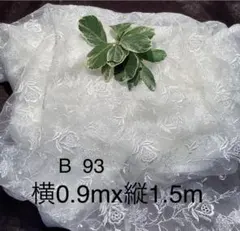 B 93 チュールレース