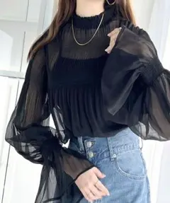 シースルーブラック長袖ブラウス 新品未使用✨️