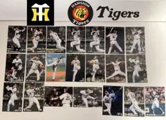 【阪神タイガース】プロ野球チップス　2009年2010年　21枚セット