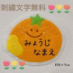 みかん　果肉付き　ワッペン