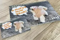 醤油様 リクエスト 2点 まとめ商品