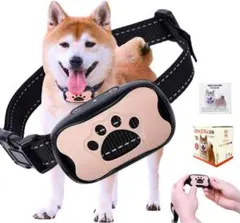 Item thumbnail for item d066ca6e-2b3c-4d32-8ee2-e7681ac9116b