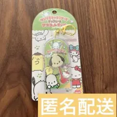 ポチャッコ　サンリオキャラクターズ チョコレート マスコットチャーム