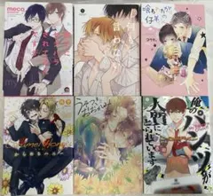 BL漫画 40冊セット まとめ売り