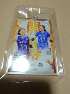 Item thumbnail for item c5605e57-0059-4953-b25c-6389f9730ccc