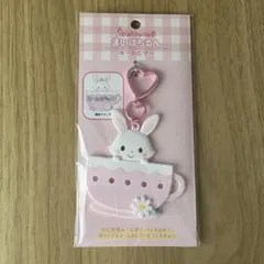 サンリオ ウィッシュミーメル ネームプレート まいぱちるん