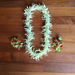 Item thumbnail for item 4cc2eb36-e15b-4682-8acc-4b51135972a6