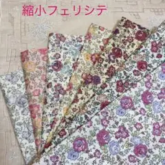 リバティ　縮小フェリシテ　在庫確認要です