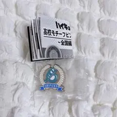 ハイキュー‼︎ ピンバッジ