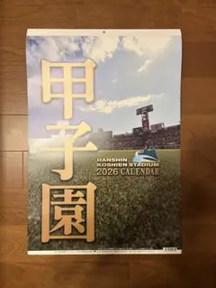 Item thumbnail for item 6a4afe60-8509-46fd-a2bb-dbba44cd4008