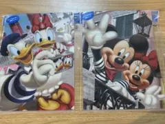 東京ディズニーシー クリアファイル 2枚セット