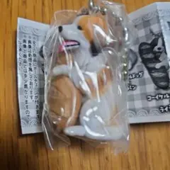 2026年最新】コーイケルホンディエの人気アイテム - メルカリ