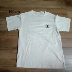 〇日本未発売海外限定〇新品未使用 キッズジブリTシャツ 150cm