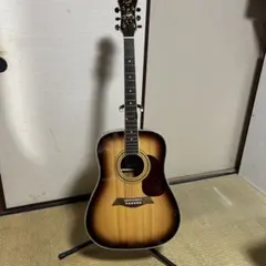 EKO Ranger VI VR EQ エレアコ☆汎用ソフトGIGバック付属 - メルカリ