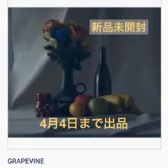 2026年最新】Grapevine 新しい果実の人気アイテム - メルカリ