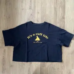 UNIQLOディズニーショート丈レディ＆トランプTシャツ