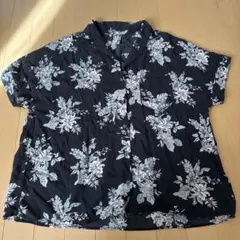 Item thumbnail for item 628ce1f8-50c5-4ccf-b2ba-eedda88a2810