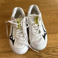 Item thumbnail for item 68169b1e-51b5-4acc-b596-018e3a1b0818