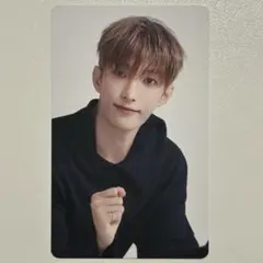 seventeen ドギョム Serenade LP盤 トレカ 封入 特典 SEVENTEEN ドギョム D×S Serenade 封入 - メルカリ