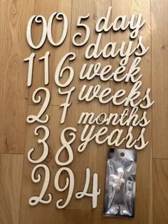 Item thumbnail for item 68c41f5c-6eea-44e3-a9b1-bc5e49761c8f