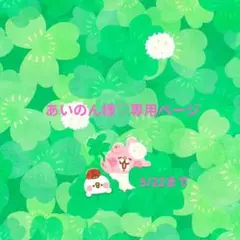 あいのん様♡専用ページです