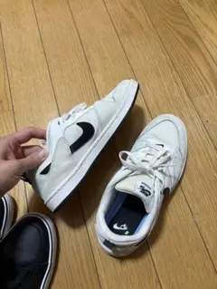 Nike（ナイキ）SB ALLEYOOP CJ0882 100