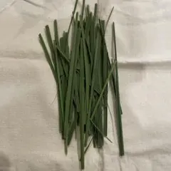 レモングラス抜き苗 3本 - メルカリ