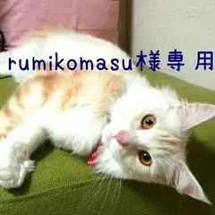 rumikomasu様専用