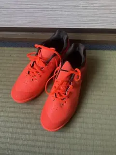 Item thumbnail for item 0ef0353f-3aa5-46e4-97f1-70d4f0fc3fb3