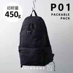 Item thumbnail for item 03e01bd8-decc-48b9-a589-d0d23c85f561