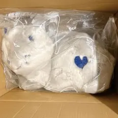 Item thumbnail for item 59e73bbc-4ebe-4488-a62f-97deda86c622