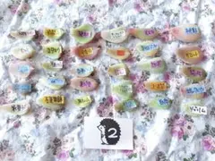 ② 多肉 葉挿し セット おらいさん パクさん ブランド 韓国苗 30種 レアのサムネイル
